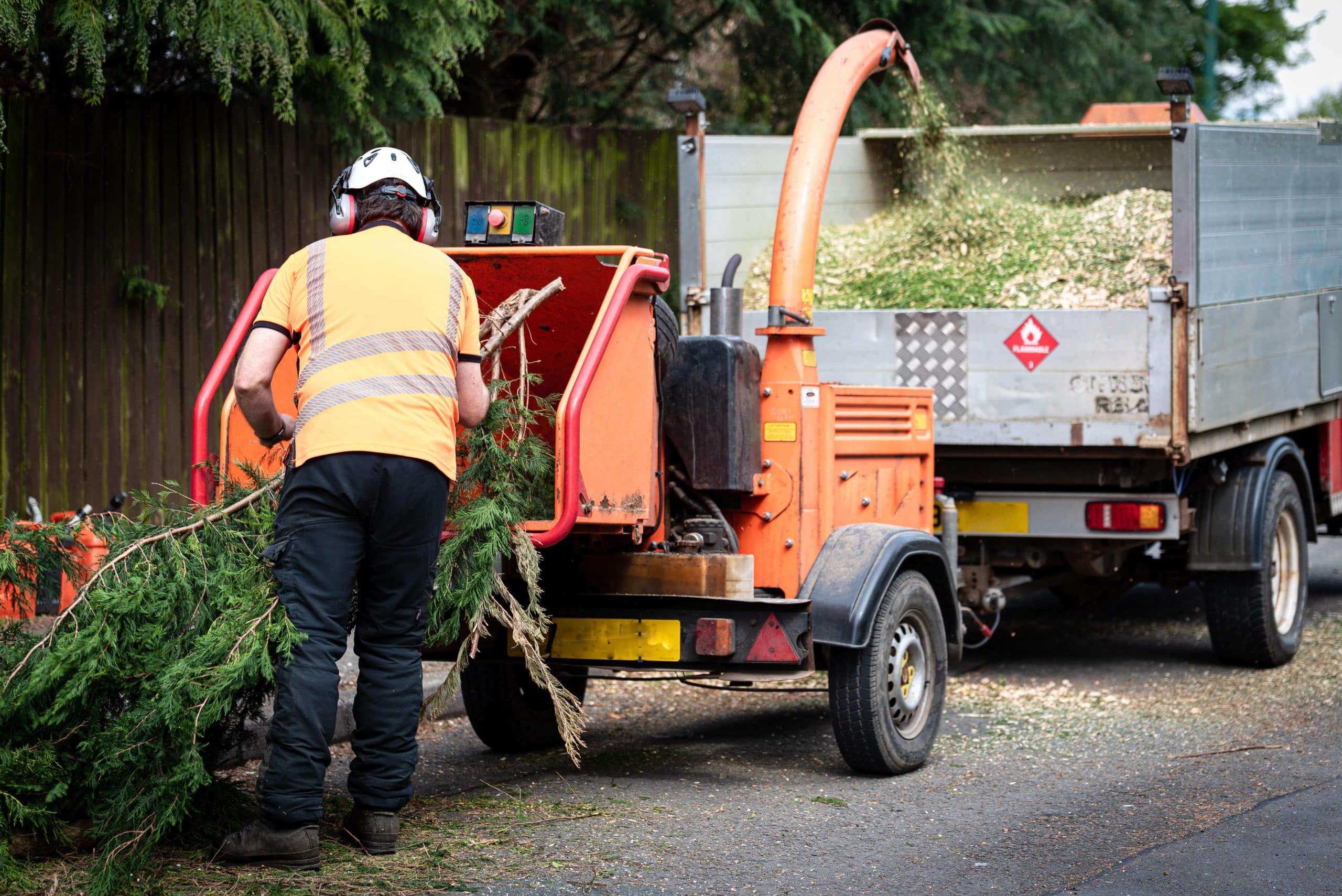Tree Stump Grinding/Removal Woolwich SE18
